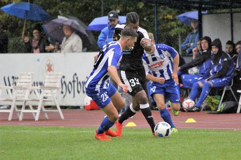 TG H&ouml;chberg - Bayern Kitzingen