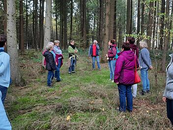 Achtsamkeit und Meditation standen im Vordergrund beim Waldbaden. Foto: Ruth Kaufmann