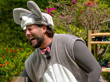 Nicht nur beim Kapit&auml;sspiel im Mauskost&uuml;m wird es schmerzhaft f&uuml;r Maurice: Beim ersten Teamspiel verletzt sich der "L&ouml;we" b&ouml;se an der Schulter.