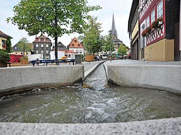 Den Grünen gefällt der gurgelnde Schlund nicht. Foto: Till Mayer