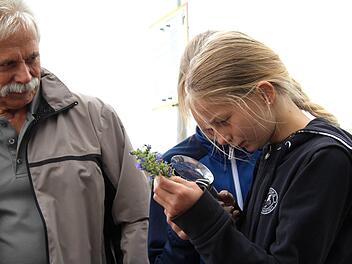 Josef Röhrle (links) erklärt den Kindern der 4b die Bedeutung der Pflanzen Fotos: Richard Sänger