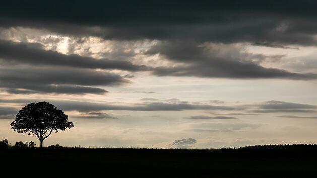 "Wie der April halt so ist": Wechselhaftes Wetter angesagt - von Sturm und Regen zu sonnigen 25 Grad