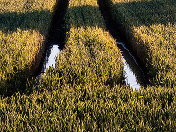 Wetter in Franken: Nach Schmuddel-Woche - bringt der "Azorenkeil" den Sommer nach Franken?