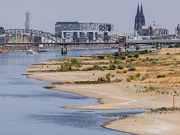 Niedrigwasser am Rhein - K&ouml;ln