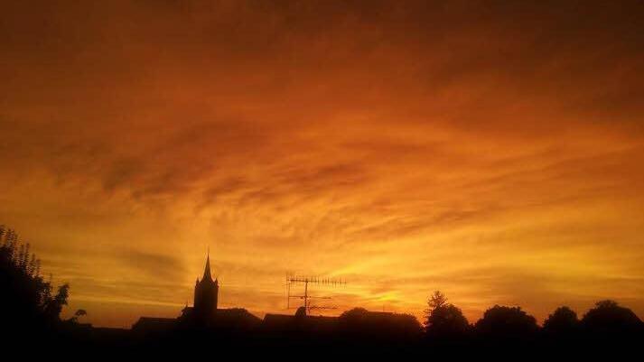Foto: Leon Motzel, Eggolsheim