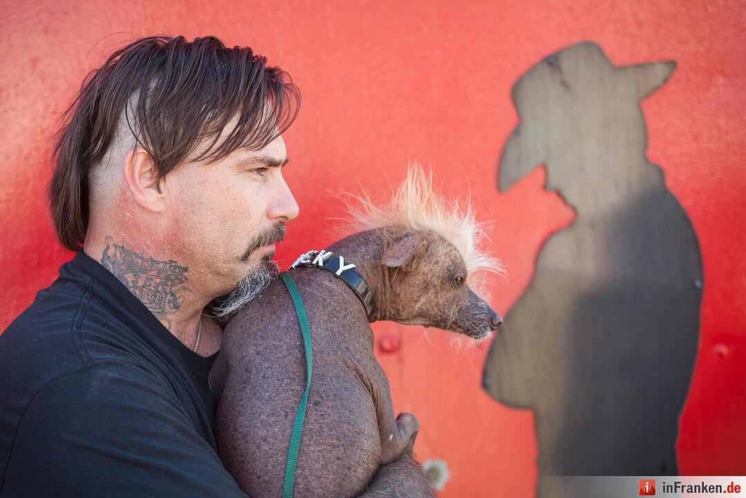 2016 World's Ugliest Dog Contest in California