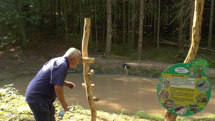 Eine der Stationen des Wildkatzenpfades ist ein Biotop, bei dem man durch "Ferngl&auml;ser" aufgestellte Tierbilder suchen kann. Das Foto zeigt Dritten B&uuml;rgermeister Werner Riegel, der schon einmal probeweise nach einem Wildtier suchte.Christian Licha