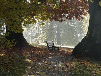 Am Freitag ist mit Regen oder stellenweise sogar mit Gewitter zu rechnen. Danach stellt sich am Wochenende jedoch ruhiges Herbstwetter ein. Foto: Jochen Berger