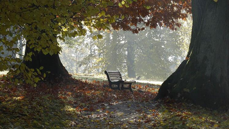 Am Freitag ist mit Regen oder stellenweise sogar mit Gewitter zu rechnen. Danach stellt sich am Wochenende jedoch ruhiges Herbstwetter ein. Foto: Jochen Berger