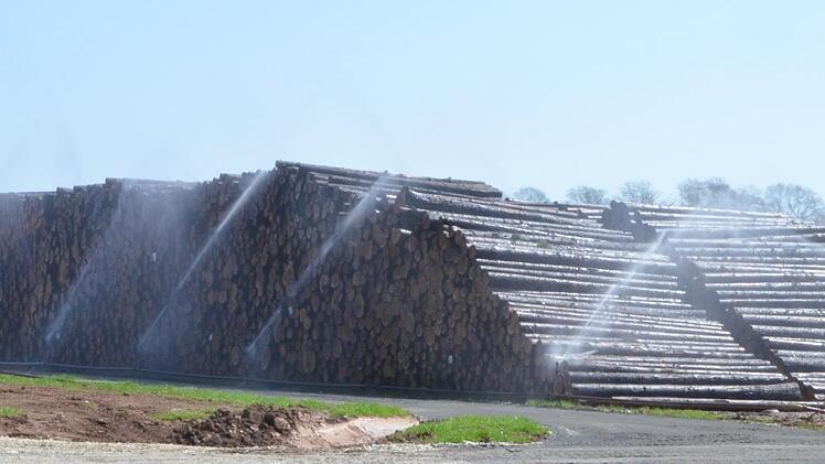 Durch ständige Beregnung wird das gelagerte Holz vor schädlichen Pilzen und Insekten geschützt. 2000 Festmeter liegen zurzeit auf dem Nasslagerplatz in Rödental.