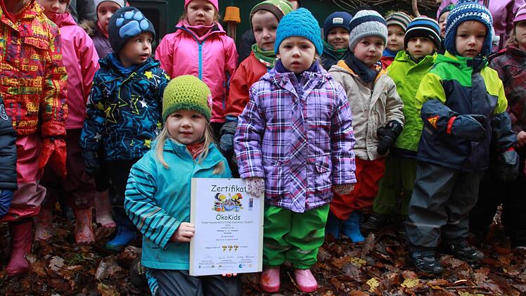 Das Öko-Kids-Zertifikat hängt normalerweise im Kindergarten. Für das Foto wurde es in den Wald entführt. Foto: Sarah Dann