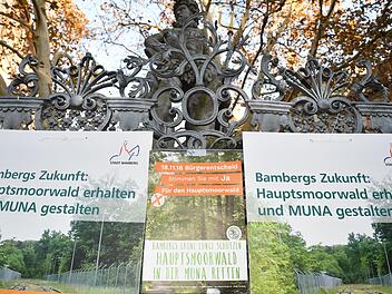 Auch der Gabelmann wird in diesen Tagen zum Werbeträger für Befürworter und Gegner des Gewerbeparks.Foto: Ronald Rinklef