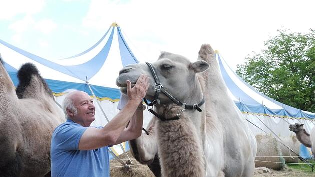 Zirkusdirektor Georg Frank und Kamelhengst Bullwei. F&uuml;r die Zirkustiere werden nach wie vor Futter- oder Geldspenden ben&ouml;tigt. Foto: Rebecca Vogt