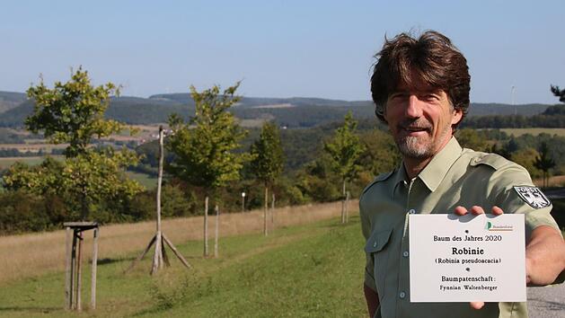 Seit gestern ist die Beschriftung vollst&auml;ndig: Frank Ha&szlig;linger, Revierf&ouml;rster beim Bundesforst, zeigt das Schild des aktuellen "Baumes des Jahres" samt Info zum Baumpaten. An der Baumallee haben Wanderer einen herrlichen Ausblick auf das Saaletal.Ralf Ruppert