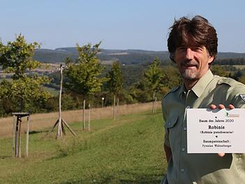 Seit gestern ist die Beschriftung vollständig: Frank Haßlinger, Revierförster beim Bundesforst, zeigt das Schild des aktuellen "Baumes des Jahres" samt Info zum Baumpaten. An der Baumallee haben Wanderer einen herrlichen Ausblick auf das Saaletal.Ralf Ruppert