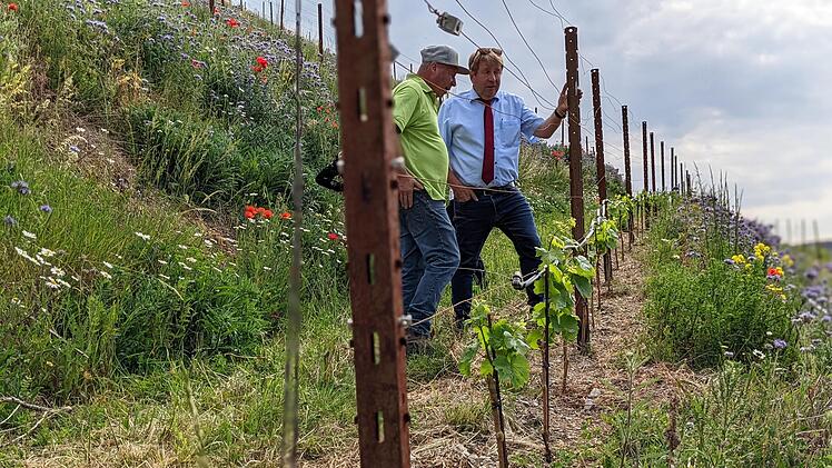Walter Neder und Jürgen Eisentraut in den Reben.