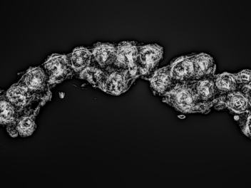 Schuhfund in Manching