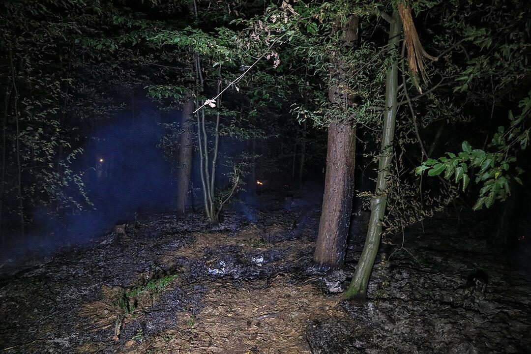 Munition detoniert bei nächtlichem Waldbrand