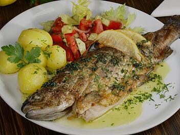 Ein gegrillter Fisch mit Zitronenscheiben, Kartoffeln und gemischtem Salat auf einem Teller, dekoriert mit frischen Kr&auml;utern.