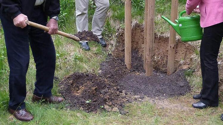 Symbolbild einer Umpflanzung (Foto: Werner Reißaus)