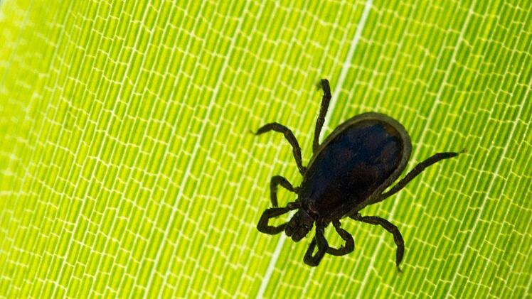 Foto: Archiv Patrick Pleul/dpa