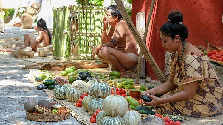 Nicht nur den Mais, auch Tomaten, Kakao und verschiedene Fr&uuml;chte haben wir den Maya zu verdanken.
