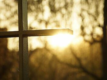 Mit dem Tod zurück zur Natur: Es gibt viele Bestattungsformen abseits des klassischen Grabs. Fotos: Arkadius Guzy