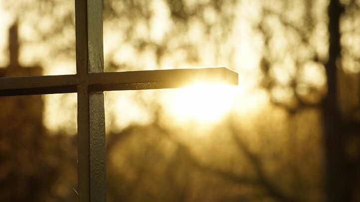 Mit dem Tod zurück zur Natur: Es gibt viele Bestattungsformen abseits des klassischen Grabs. Fotos: Arkadius Guzy