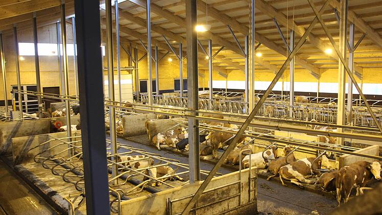 Zu Gast im neuen Stall in Effelter. Foto: Marco Meißner