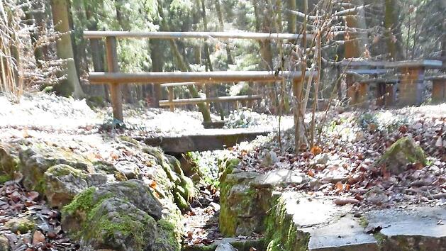Besonders idyllisch wird es, wenn es am Wallenbrunnen vorbeigeht. Foto: G&uuml;nter Reinlein