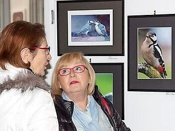 Auf reges Interesse stießen die Bilder der Michelauer Amateurfotografen bei der Ausstellungseröffnung im Korbmuseum. Foto: Klaus Gagel
