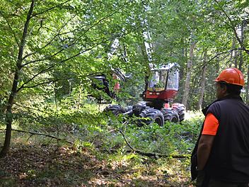 Einsatzleiter Georg Scherbel überwacht das Vorgehen des Harvesters in eine der genau vorgegebenen Rückegassen im Einberger Wald.Rainer Lutz