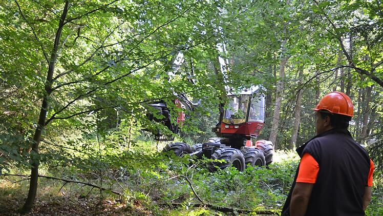 Einsatzleiter Georg Scherbel überwacht das Vorgehen des Harvesters in eine der genau vorgegebenen Rückegassen im Einberger Wald.Rainer Lutz