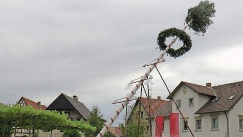 Mit purer Muskelkraft stellten die Aktiven der Sander Fußballer den Kirchweihbaum auf. Foto: Christian Licha
