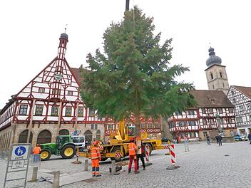 Foto: Josef Hofbauer
