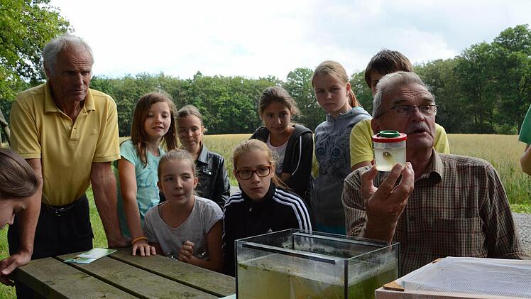 BN-Ehrenvorsitzender Ulf Zeidler gibt den Schülern interessante Informationen zu den gefundenen Tieren, links Lehrer Fix .