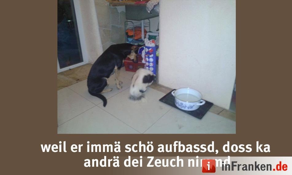Foto: Demosrotti