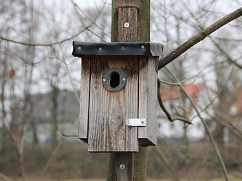 Ein Nistkasten für Gartenrotschwänze Foto: Petra Malbrich