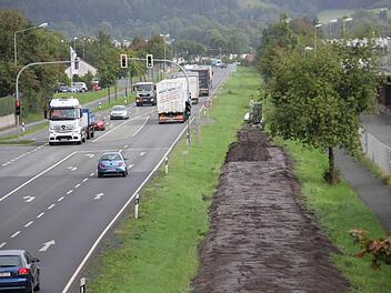 Die Humusschicht bedeckt den alten Bahndamm. Foto: Marco Meißner