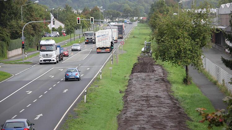 Die Humusschicht bedeckt den alten Bahndamm. Foto: Marco Meißner