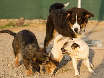 Symbolbild: Sebastian Kahnert/dpa