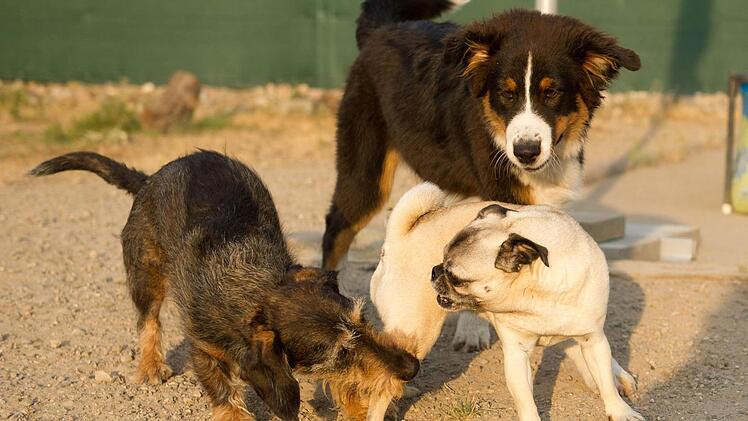 Symbolbild: Sebastian Kahnert/dpa