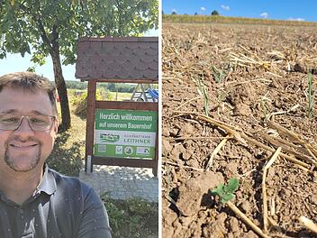 Reuthlos: Bauer beklagt massive Ernte-Einbu&szlig;en - bis zu 30 Prozent weniger Ertrag