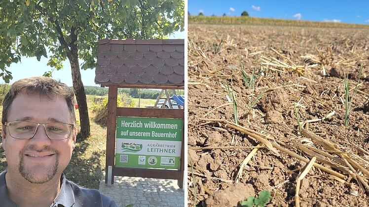 Reuthlos: Bauer beklagt massive Ernte-Einbußen - bis zu 30 Prozent weniger Ertrag