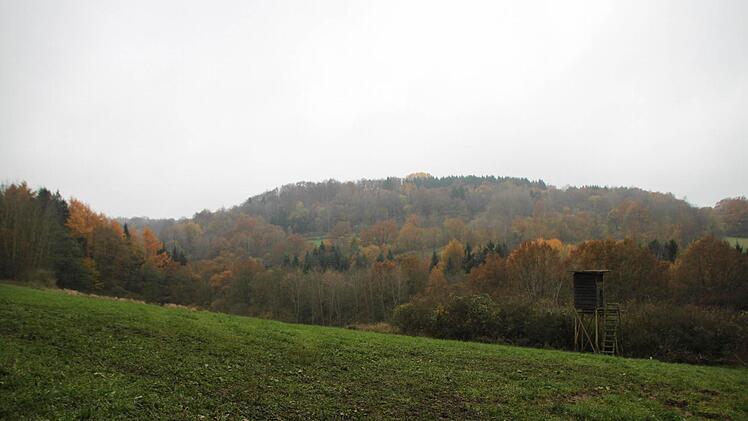 ... einen wunderschönen Blick in die Natur.