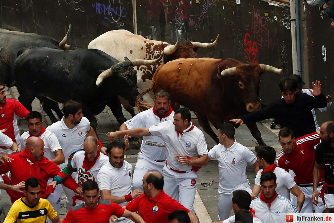 Stierhatz in Pamplona