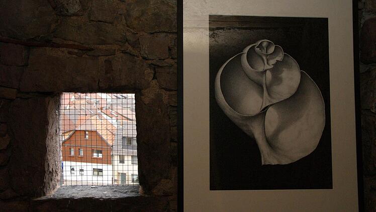 Ein Bild aus der Serie "Behausung" von Helmut Droll.