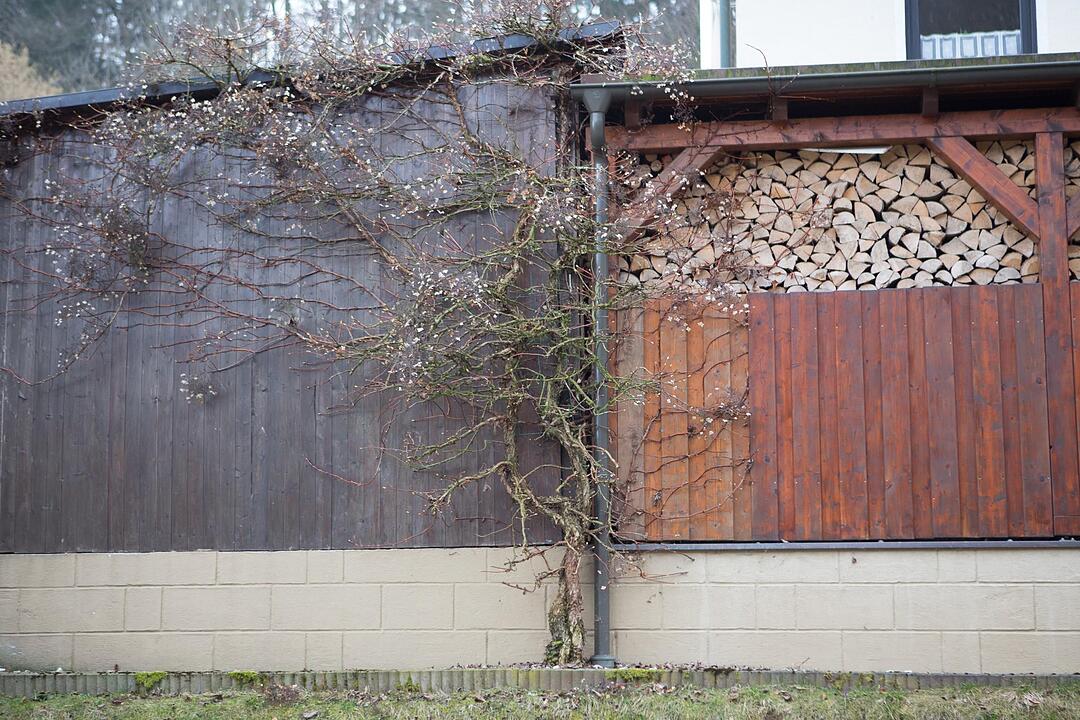 SoS; Neuses-Poxstall; Gemeindeseite; Foto: Barbara Herbst