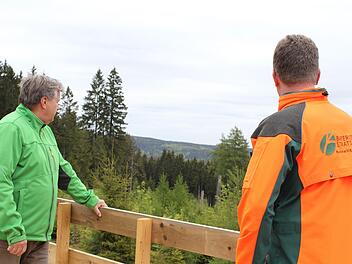 Bernd Heinz (Frankenwaldverein) und Revierleiter Christian Goldammer genießen die Aussicht über den Frankenwald.  Foto: Anna-Lena Deuerling