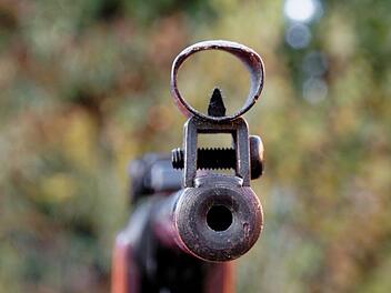 In der Bamberger Innenstadt hat ein Unbekannter mit einem Luftgewehr auf eine Katze geschossen. Symbolbild: pixabay.com/ Bru-nO